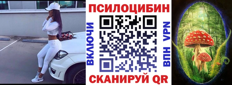 наркотики Осташков Псилоцибиновые грибы MAGIC MUSHROOMS